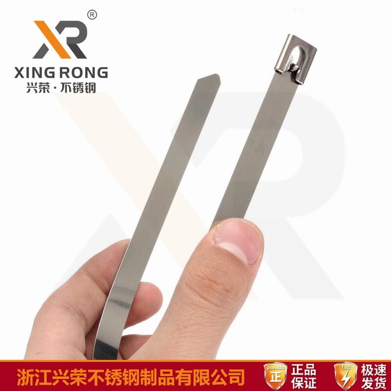 dsXR-C10P䓌 Lȿɶ Pr