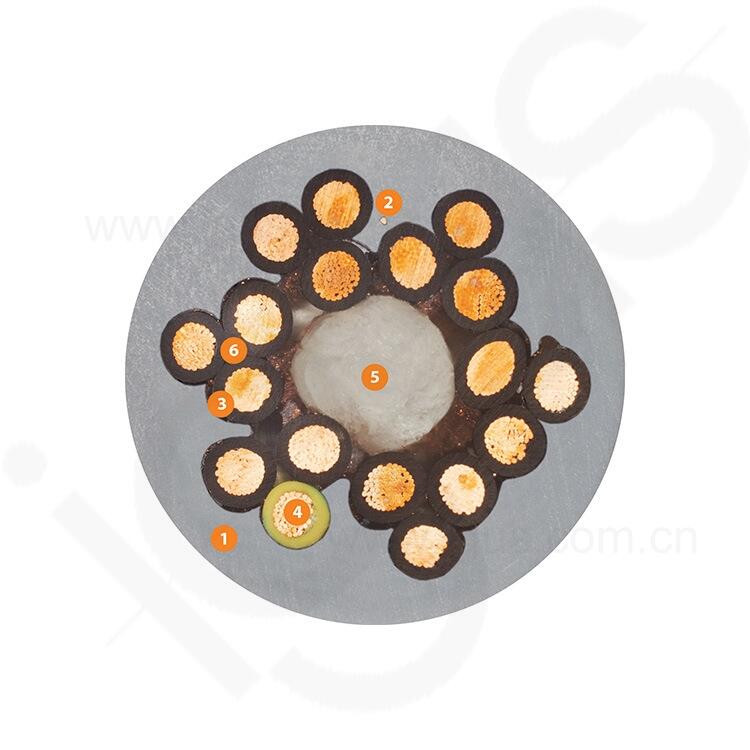 IGUS׸˹|IGUS׸˹