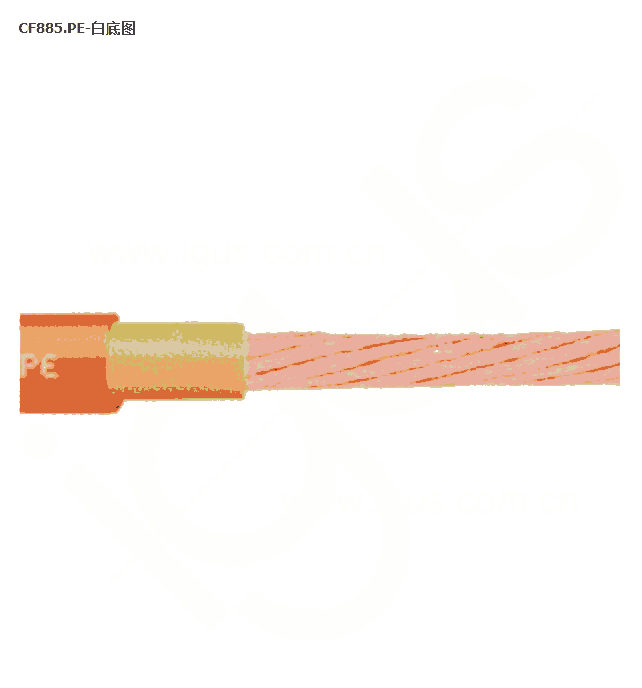 IGUS(׸˹)|IGUS|IGUS(׸˹)|  ׸˹