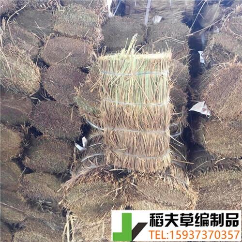  ֧| ݰ; ֧| aS ܇l؛