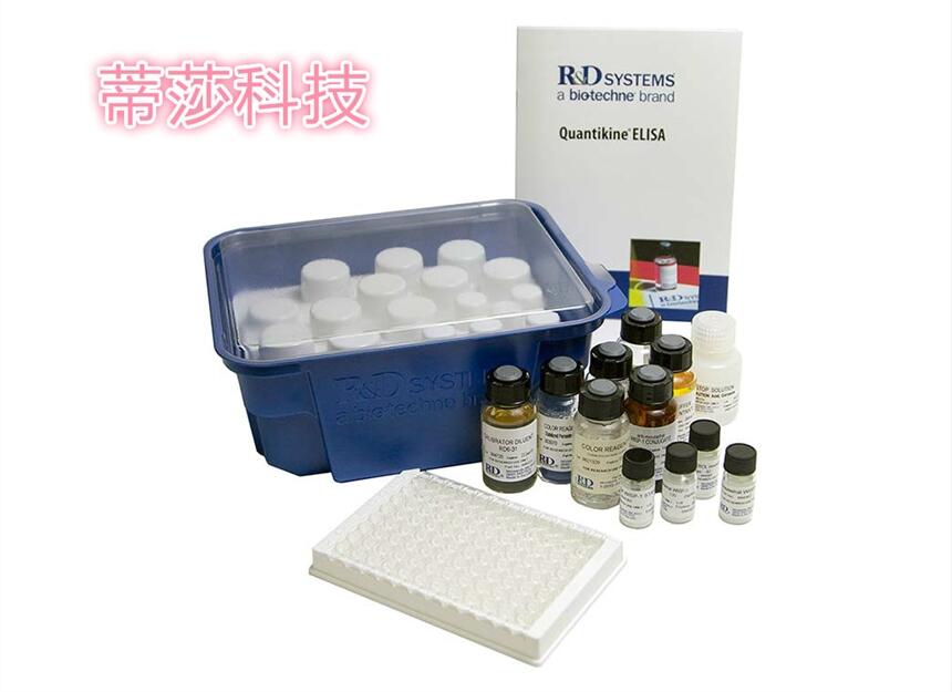 SֱN ˳绯øSODELISAԇ