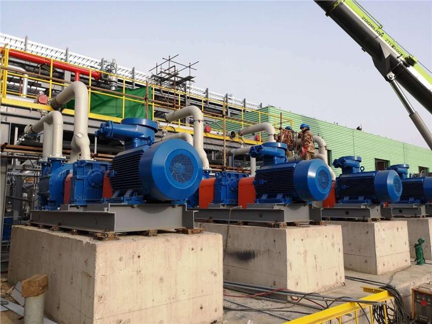 ɹŏSO䰲bߏoտs{ϏSֱN