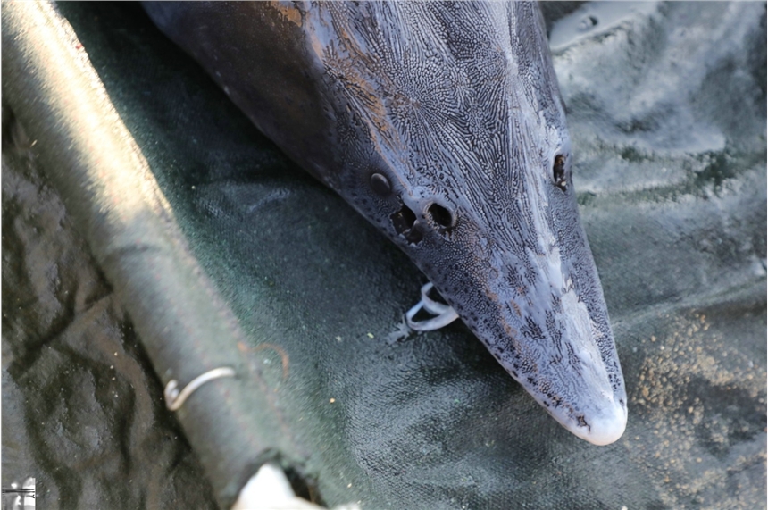 rl\m~lr\m~aֱNBֳك\m~؛Դr