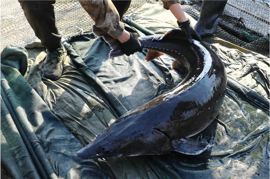 OֱN\m~Nr\m~Bֳ\m~N۹˾