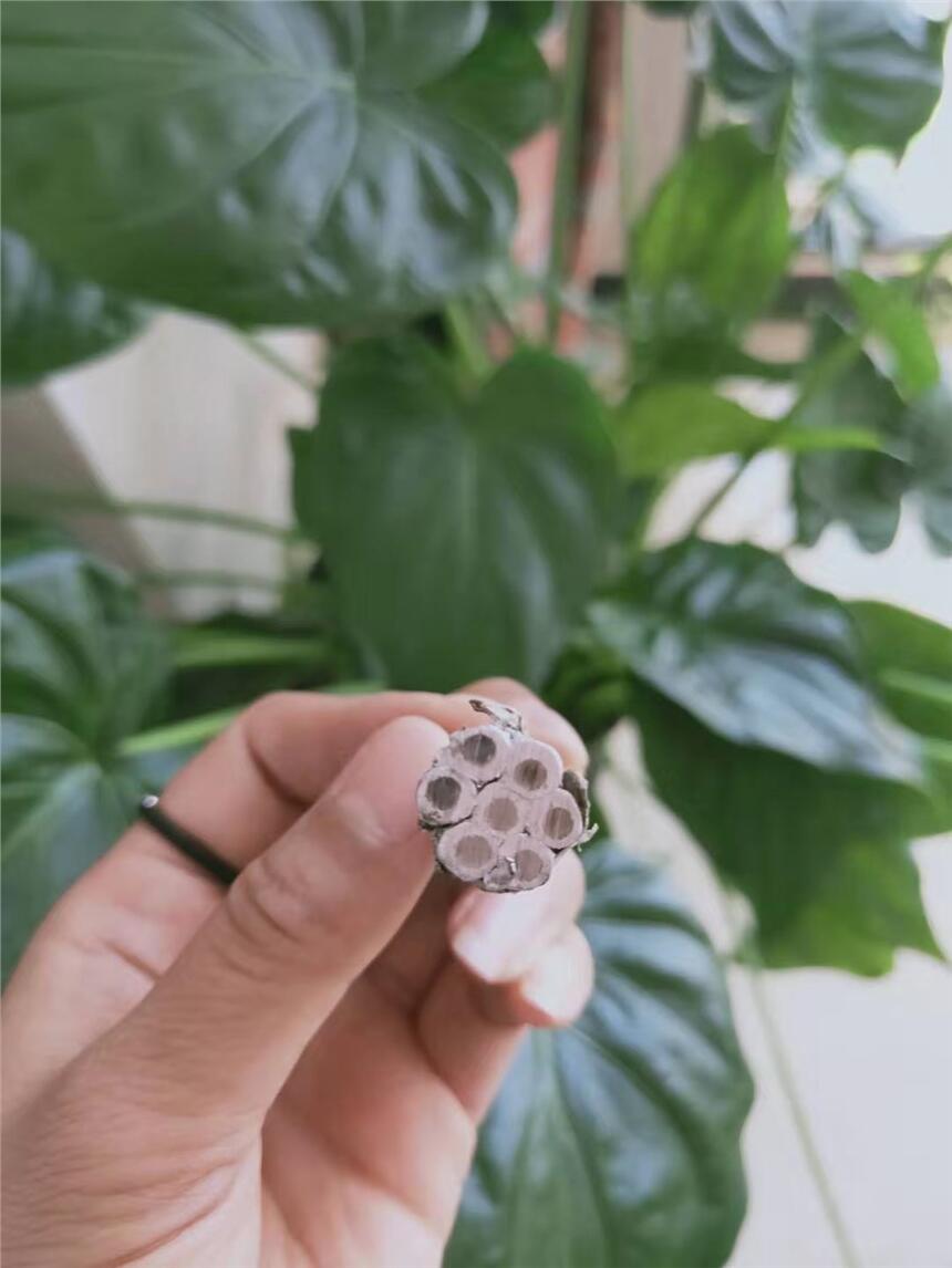 XоXgJL/LB1A-120/25F؛