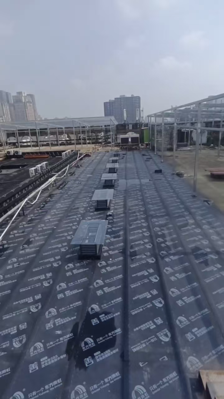 ϺƼ@ _l^©ˮBˮS