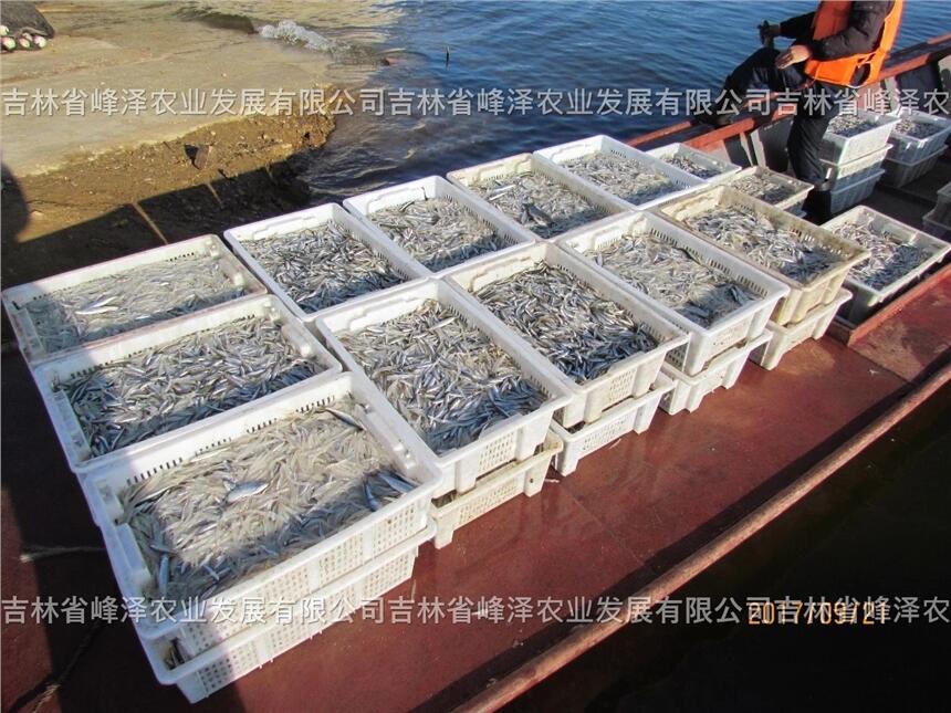 l~ӹ~˹ֳӹ~ԭal