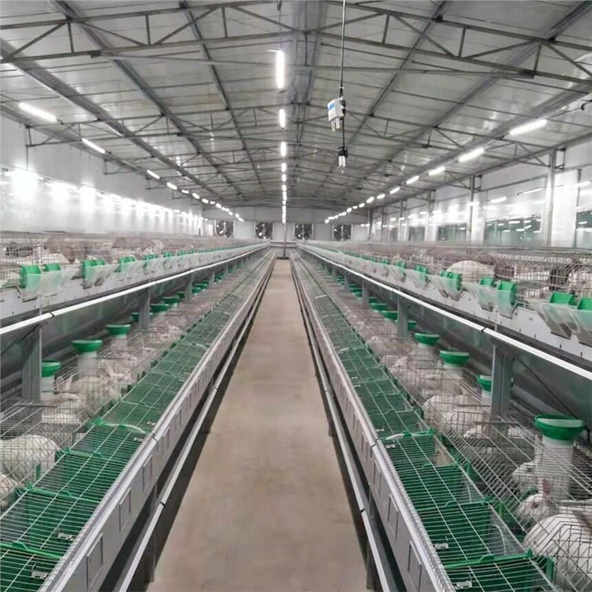 Wʽpĸû\ Ԅˮû\ һw