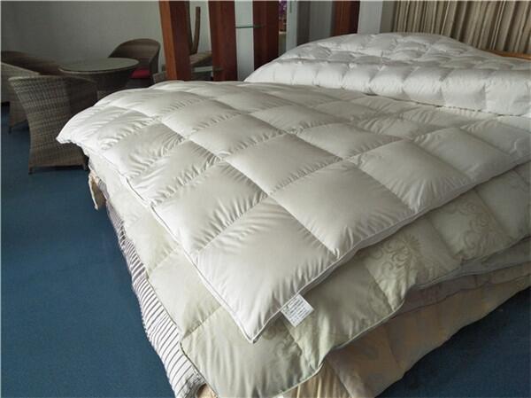 ĂqƷ|Ãr񃞻238fСhqSo|ͶV