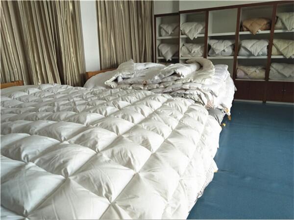 ɶƷqƷ|Ãr񃞻596xСhqSl؛