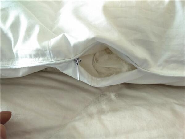 ĂƷqƷ|Ãr񃞻86xСhqS30겻©q