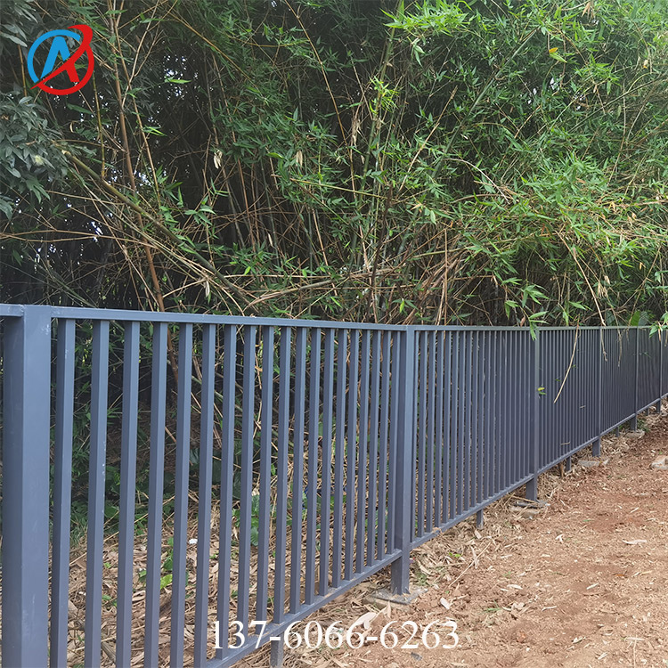 ÷С^\oڈDƬ هڳƷr Fˇřڰb