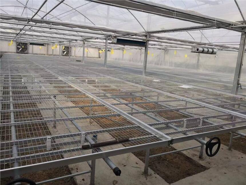 \W紲W ҴﻨƄ紲aӹ