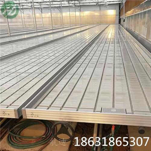 rIW̌W紲ϫ紲ײƄ紲