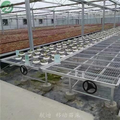 ƽ ҴﻨƄӟ\W紲 Ƅ紲aӹ