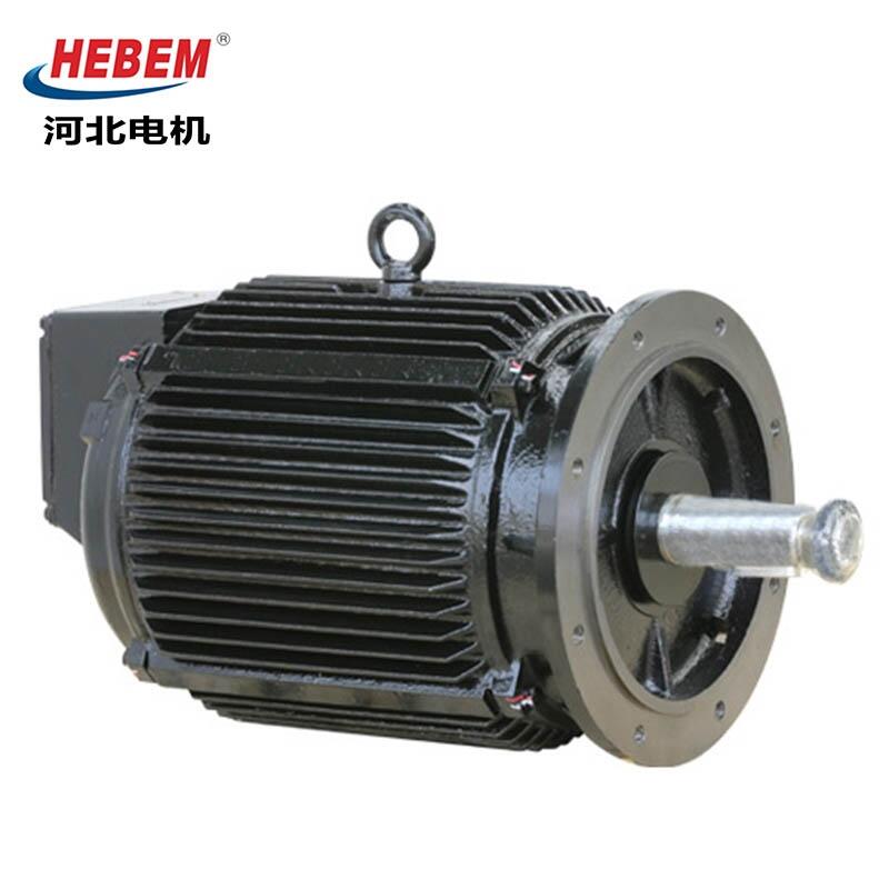 HEBEMӱ늙CIEC YE2 YE3-355L-6늙C 315KW 4