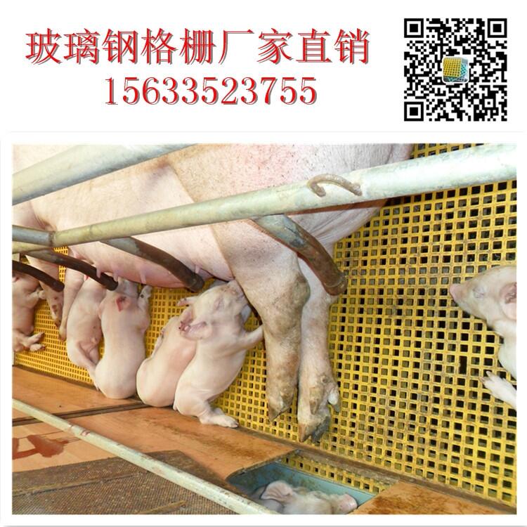 9.19¸ňr 䓸mBi Bֳ