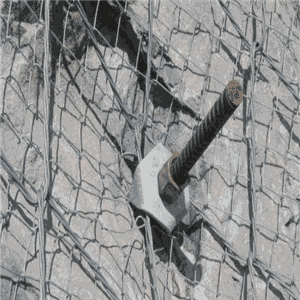 ʯoWXһA·ʯoWXһļЬF؛