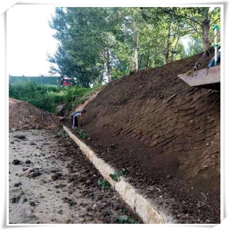 Ϳhֹ·䳲ʽҾWA·Ńr