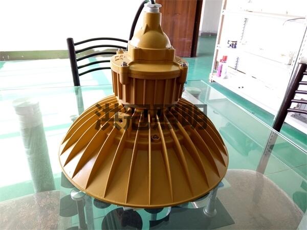 HBD9350LEDS100W AC220v