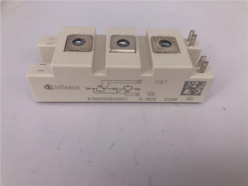 ӢwɿعBSM100GB60DLC