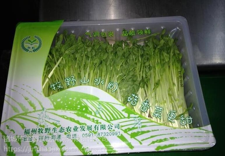 ѿirb{bC  бrbڙC