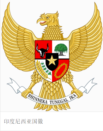 늾|SNIJC ӡJC 늾|CNAS