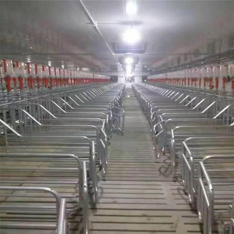 iϾ R BiϾ BiԄϾ SrN