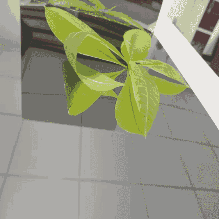 |ݸ R治P䓰  PR  R治P䓎l