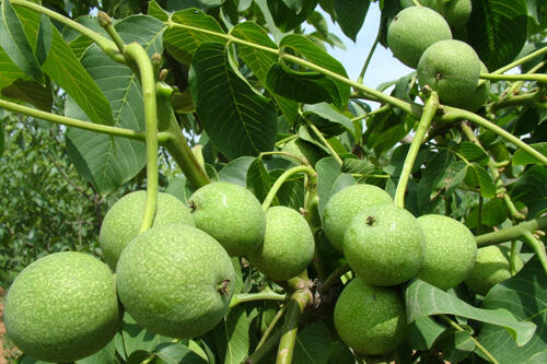  ҘlҪƷN㡢SS