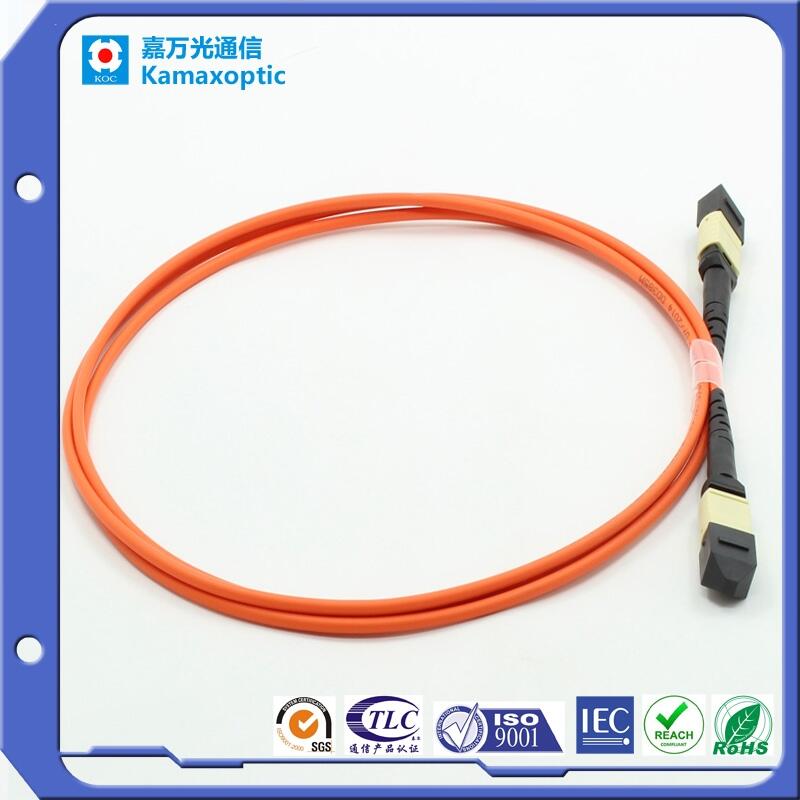 wMPO-MPO12оģOM4w2MPO/MTP