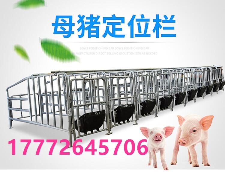 SlFǭϲ؅^ʽĸiaλλں׮a΂iλ