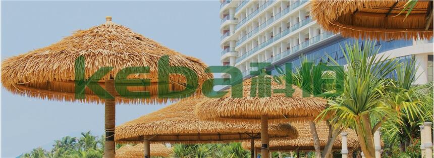 Sҹé݂ ɳé eé ư۶ƏS