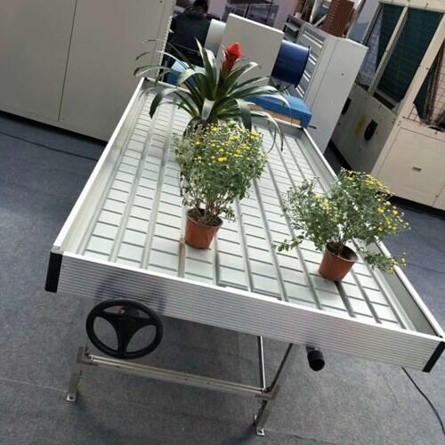 Ҵﻨ܈@ˇO亽ϳϫ紲