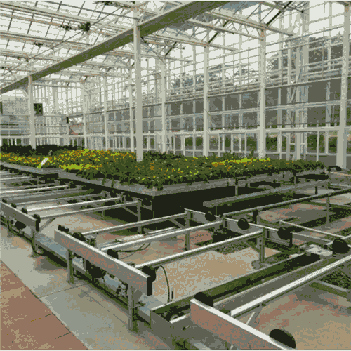 ӱȫԄӻʽϫ紲CеNֲʡ˹