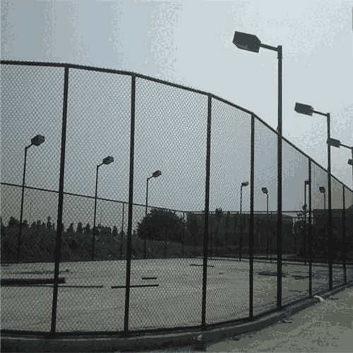 ֱNС䓽zW WУ\ӸxWƼӹ