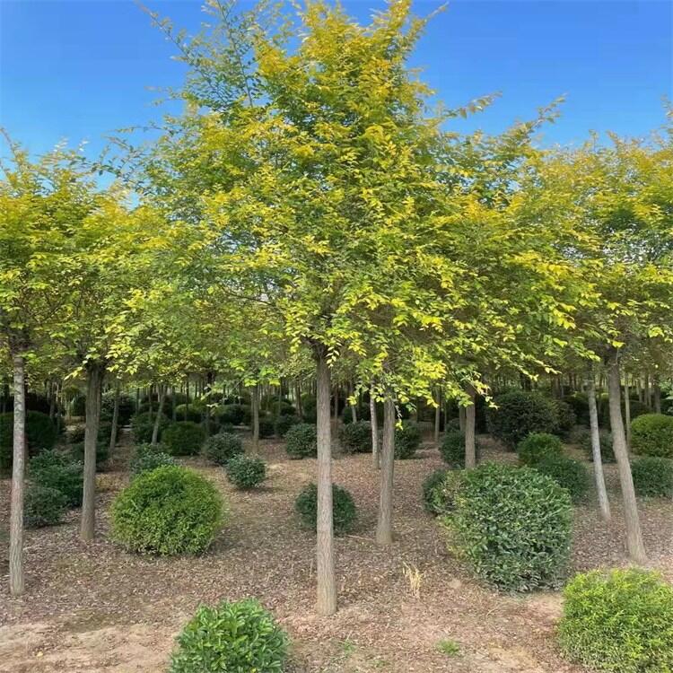 |~ ~С ~ܾGh ~ 24Сrھԃ