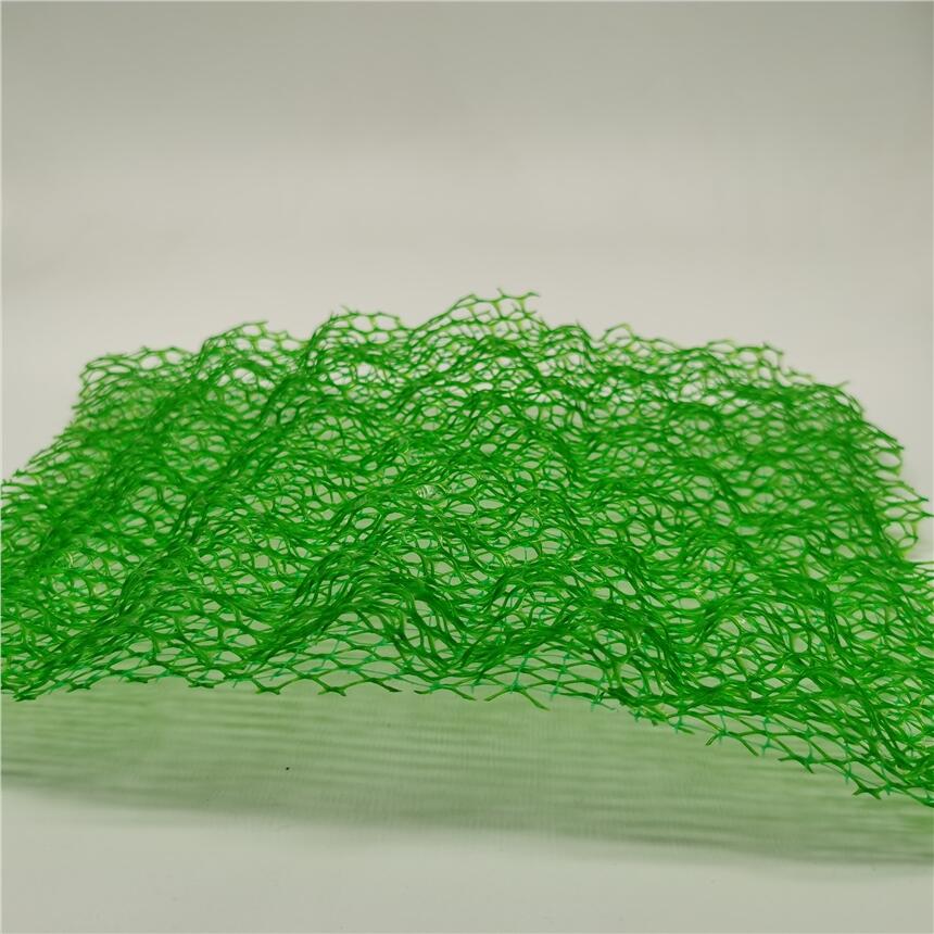 ɽ|SֱSֲWW|oo̾Ghho