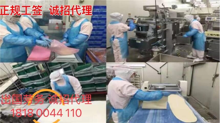 򹤚Wްl_Ҽнչ˾CNн40f