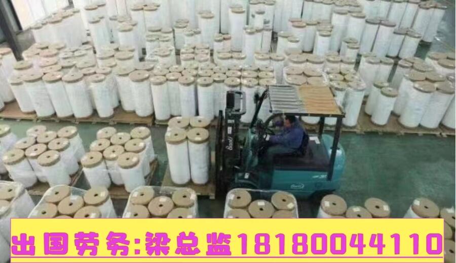 2024ʮfڄrժTNֲoҪӢZ