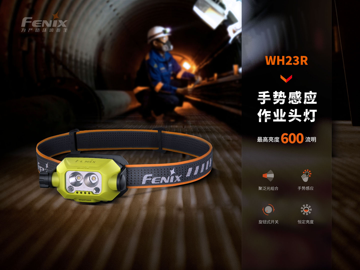 FENIX˹WH23RܸБI^
