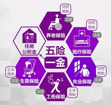 籣UMUһIַֹ˾籣