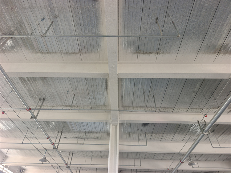 SNͿϺ䓽YͿόIְȫa