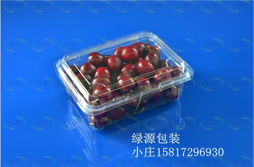 Ƹ÷ݏSҹ܇ӡɏFbrbбP