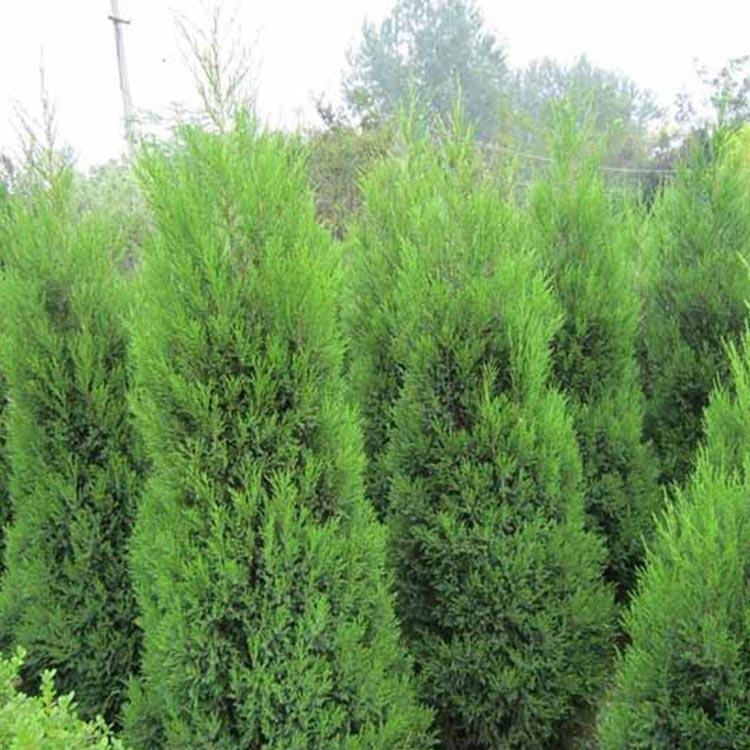 ϙu عu ɰ ԮaN F؛ֱl