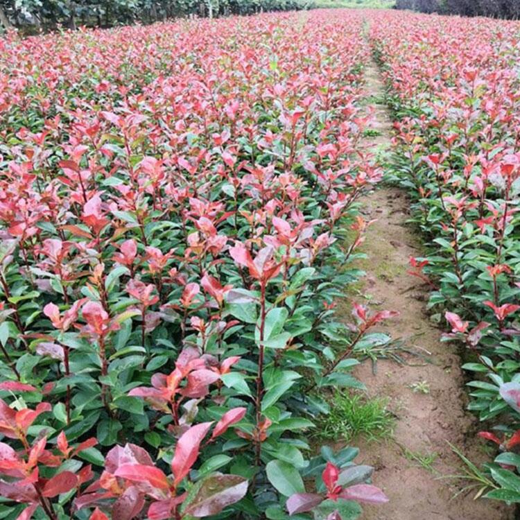 Ҏt~ʯ t~ʯСr t~ʯֱN