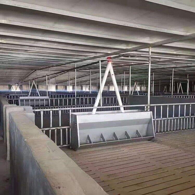 ˜ιϾ rιϹ· BֳιϾ