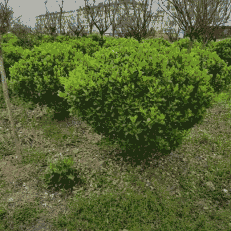 Glì  ~Sr  hԽ  ɻʸ