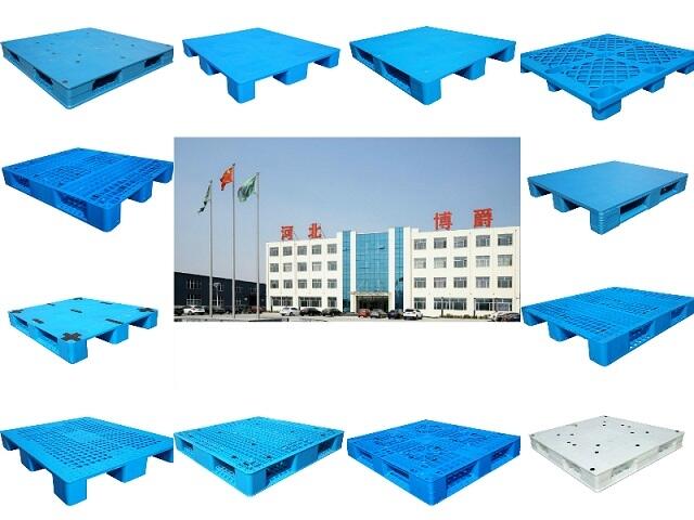 ӰбP˾һ[2022Ѹ£/]