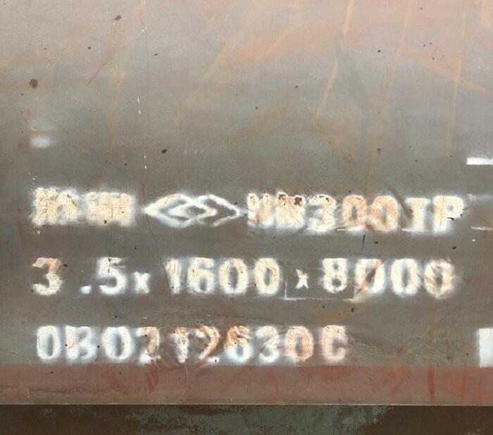 ĥ䓰 NM300TPк䓰 ĥ䓼ӹ